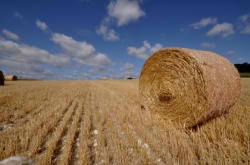 La contractualisation modifiée par la loi d'avenir pour l'agriculture